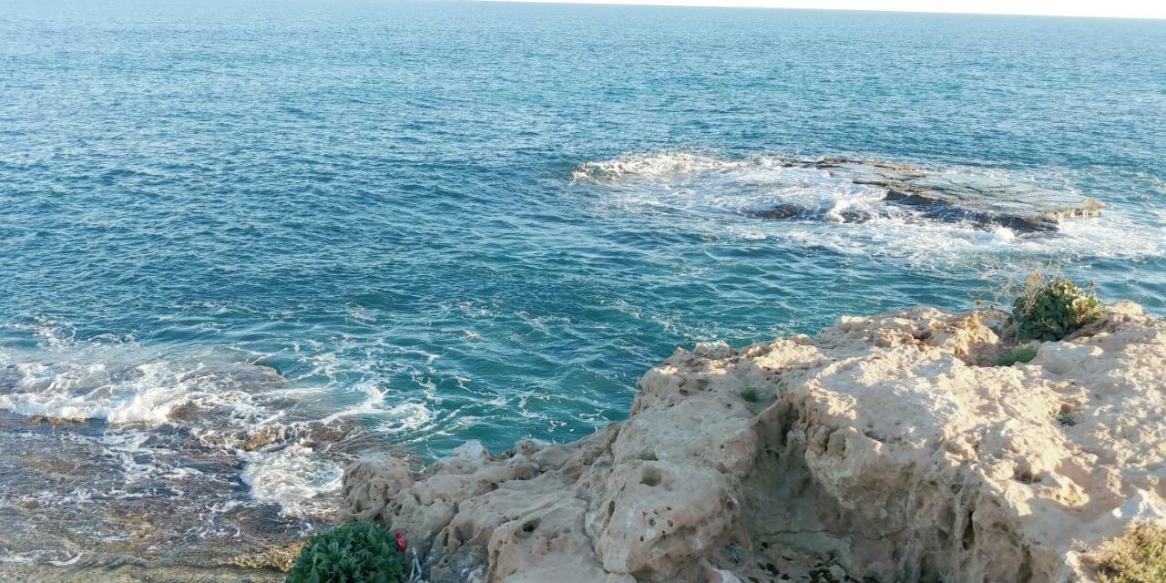 Estudio Jardin Del Mar Torrevieja Bagian luar foto